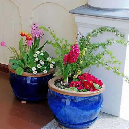 شقة Ferienvilla Im Stil Der Baederarch Sellin (Rugen)