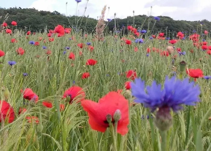 アパート Ferienvilla Im Stil Der Baederarch *