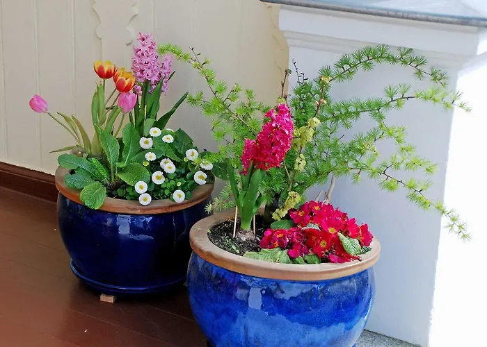 アパート Ferienvilla Im Stil Der Baederarch ゼリン